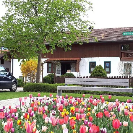Kreuz Apartament *
